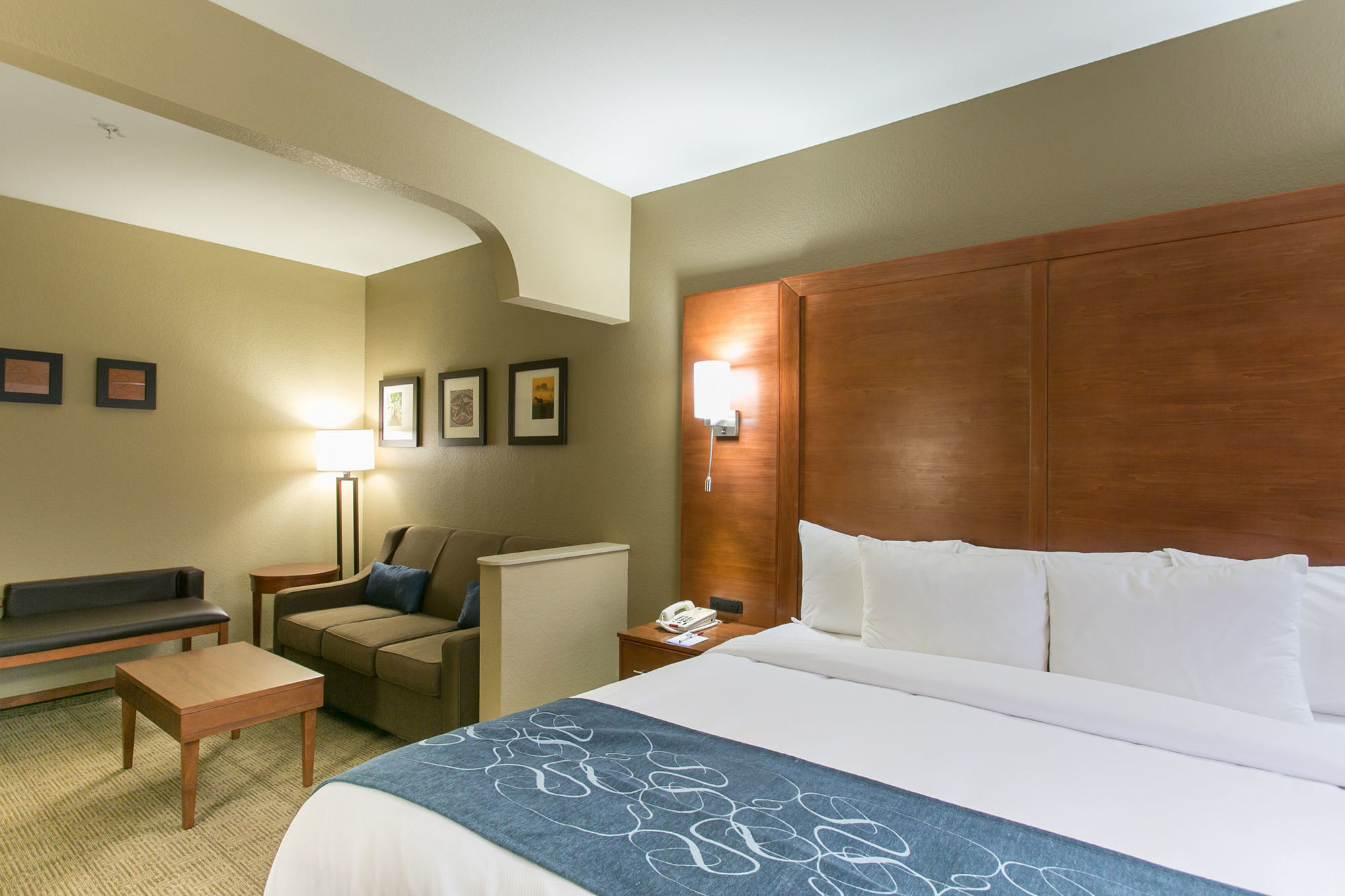 Comfort Suites Austin Nw Lakeline Habitación foto